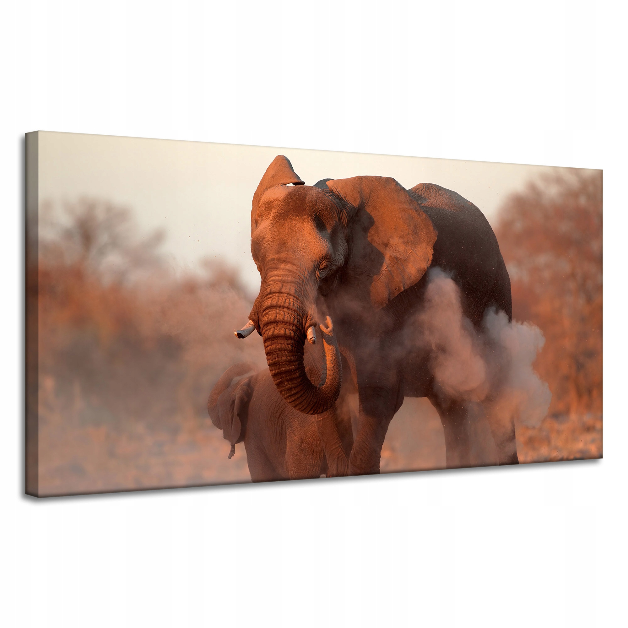 Obraz na plátně Sloni Oranžové Nebe Kouř Umění 120x60 cm