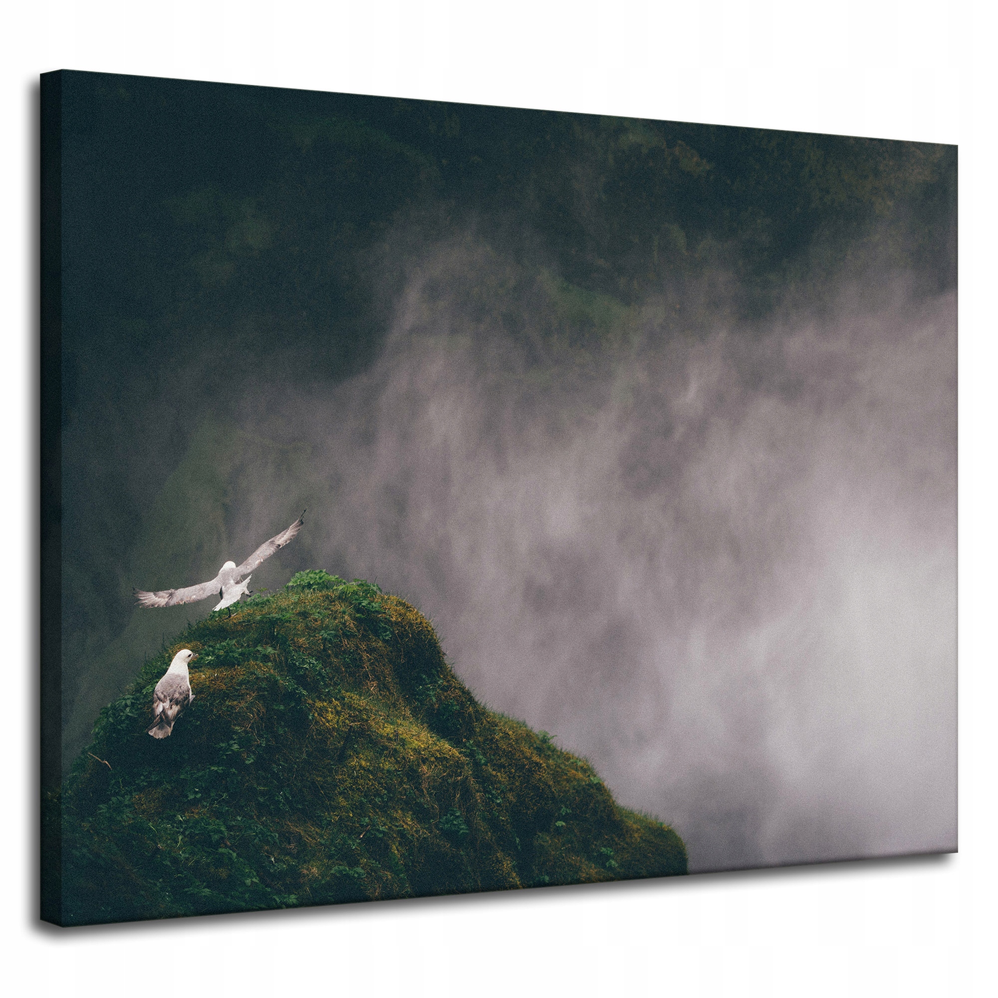 Obraz Canvas Příroda Z ptačí perspektivy Vrchol 100x80 cm