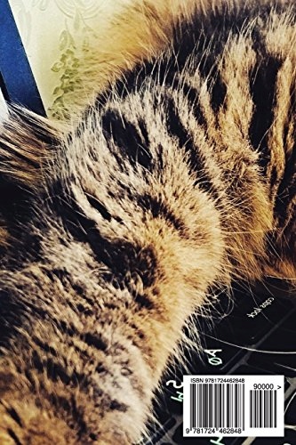 Evan, Chris Password book: Funny Cat Internet Address & Password Logbook To Język publikacji angielski