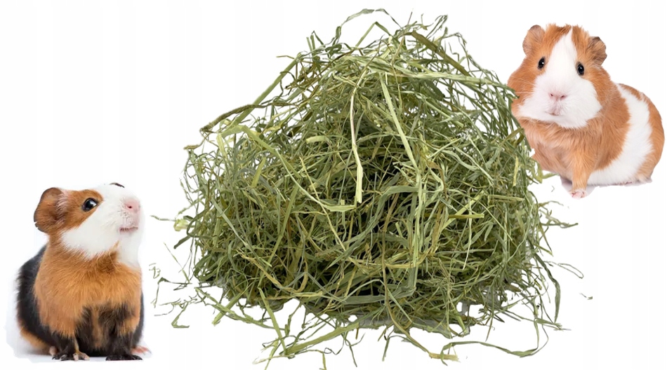 Levně Nejlepší čerstvé seno od farmáře, 9 kg, dobré seno pro prasátko