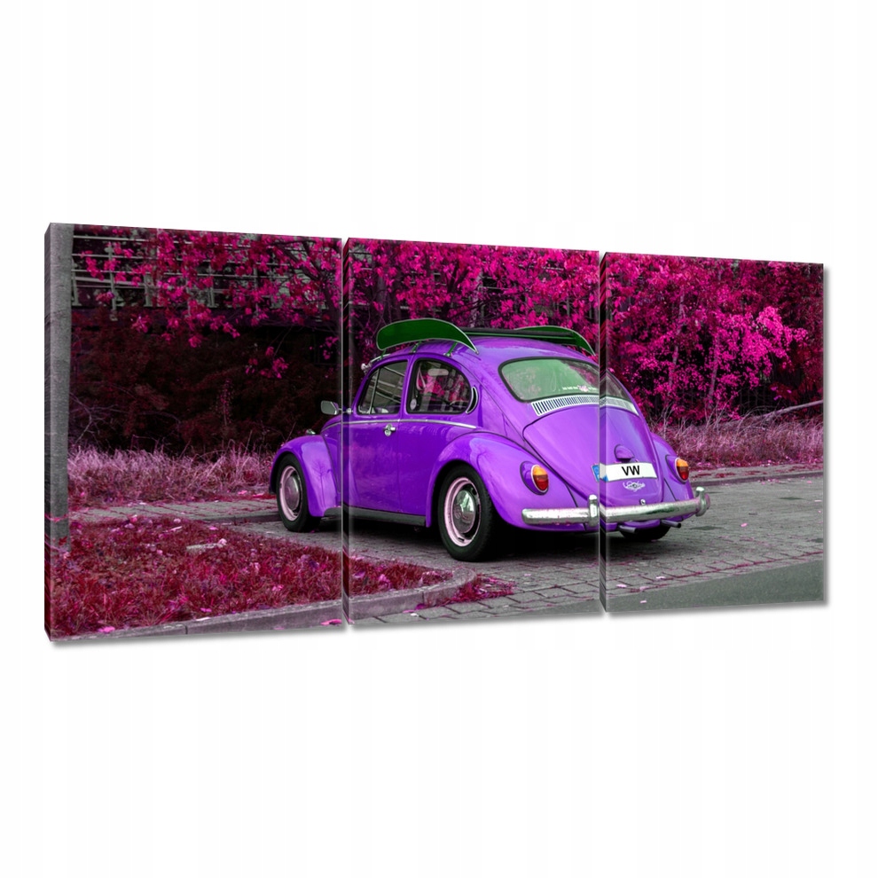 

Obrazy 120x60 Garbus Volkswagen Vw Auto