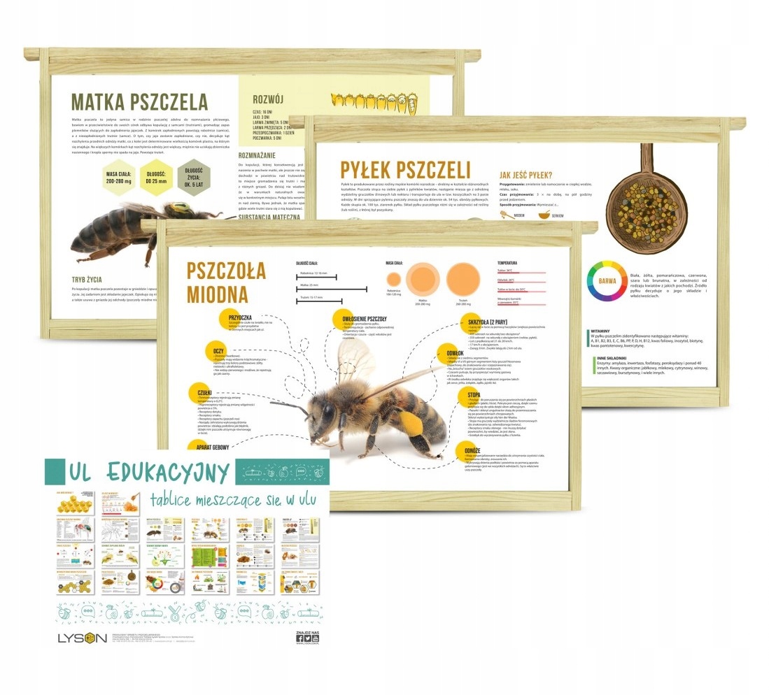 RAMKI INFORMACYJNE DO ULA EDUKACYJNEGO DADANT - KOMPLET 12 SZTUK.