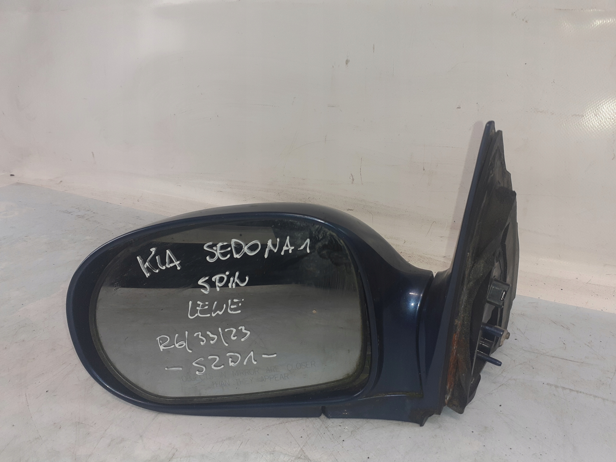 Kia Sedona and mirror left