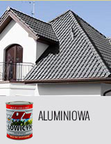 LOWICYN ALUMINIOWY MAT 10L