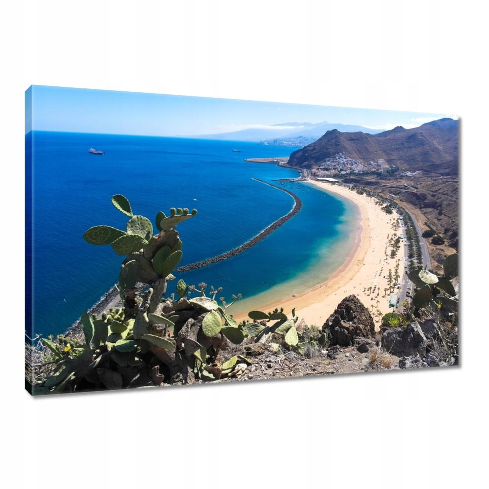 

Obrazy 90x60 Spojrzenie zza kaktusa