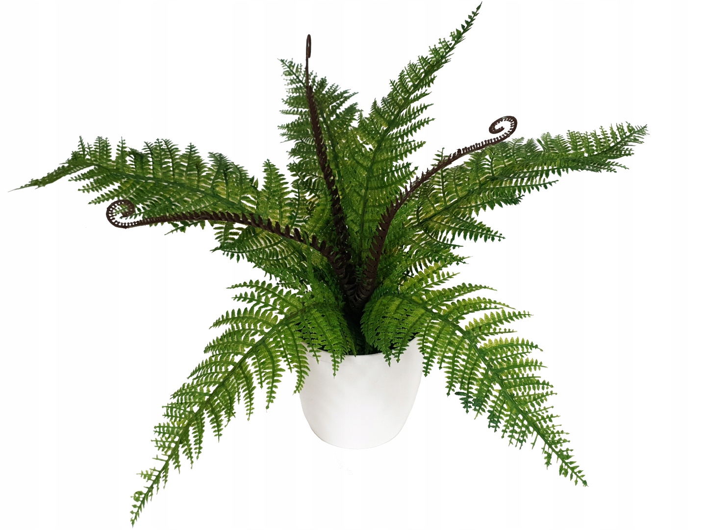 

Sztuczna Duża Paproć, Paprotka w doniczce