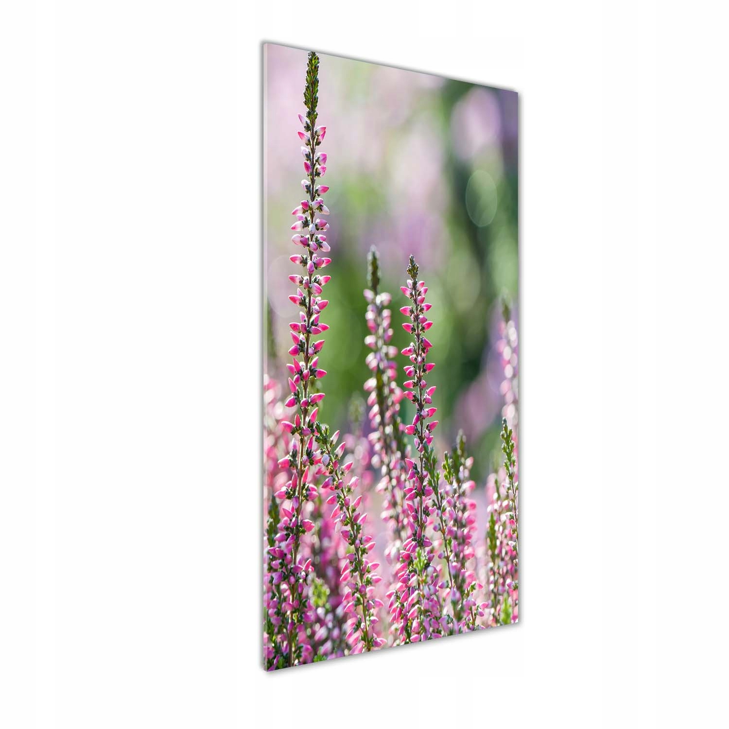 

Fotoobraz szklany na ścianę do salonu Wrzos 50x125