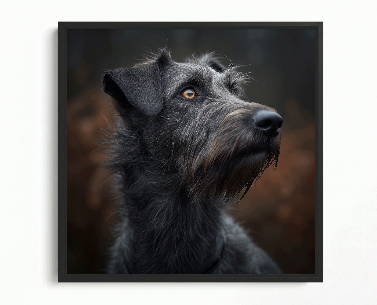Obraz Rám Americká Krabička Portrét Pes Irský Vlkodlak Wolfhound 50x50