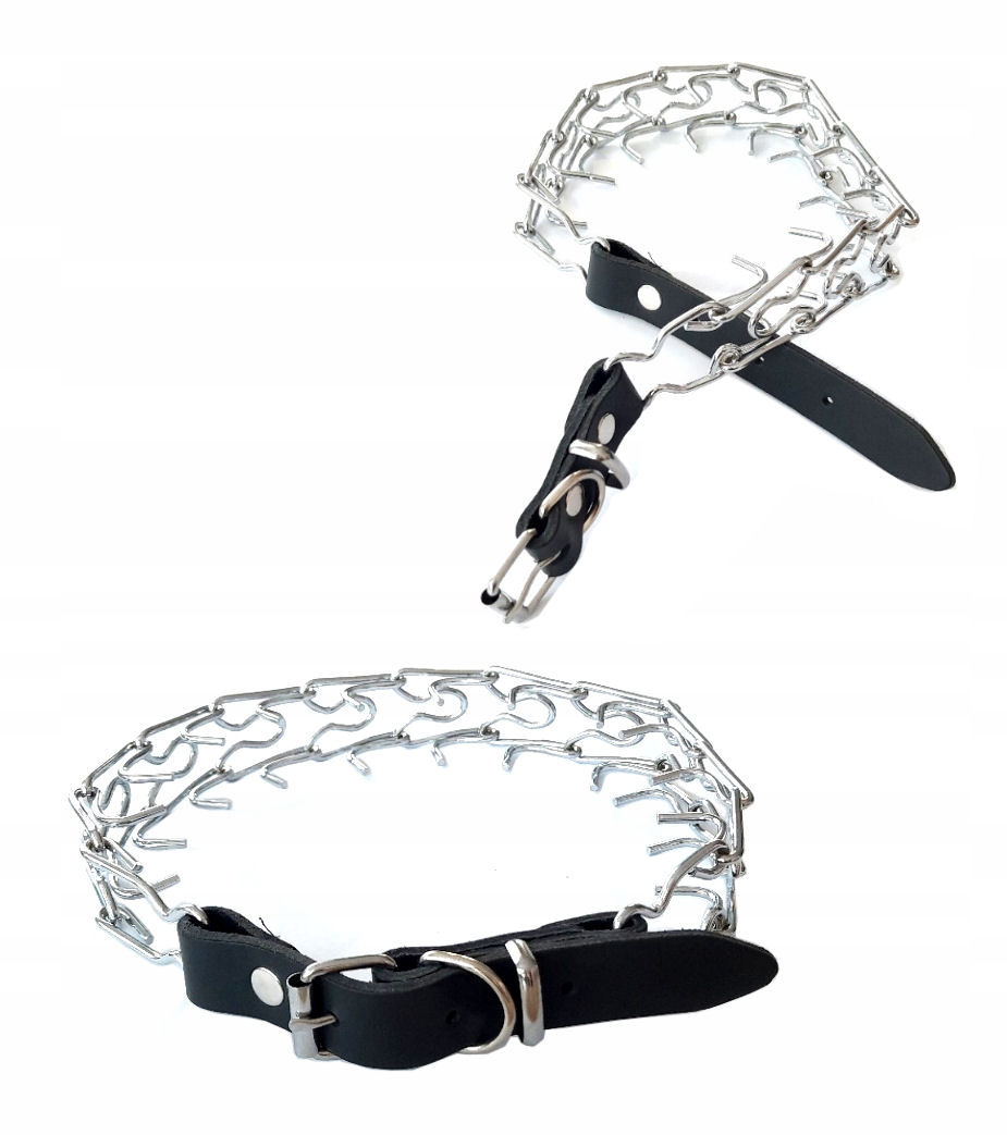 

Dino Obroża Kolczatka Zapinana Nr 2 2,8mm/65cm