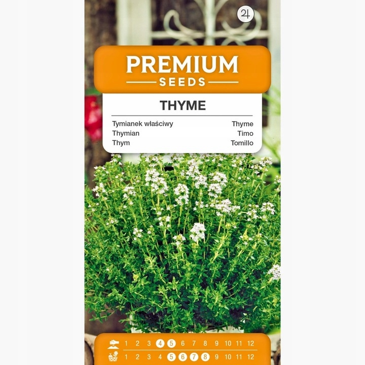 NASIONA TYMIANEK WŁAŚCIWY PRZYPRAWA ZIOŁA OGRÓD ROŚLINA PREMIUM SEEDS 0,3 G