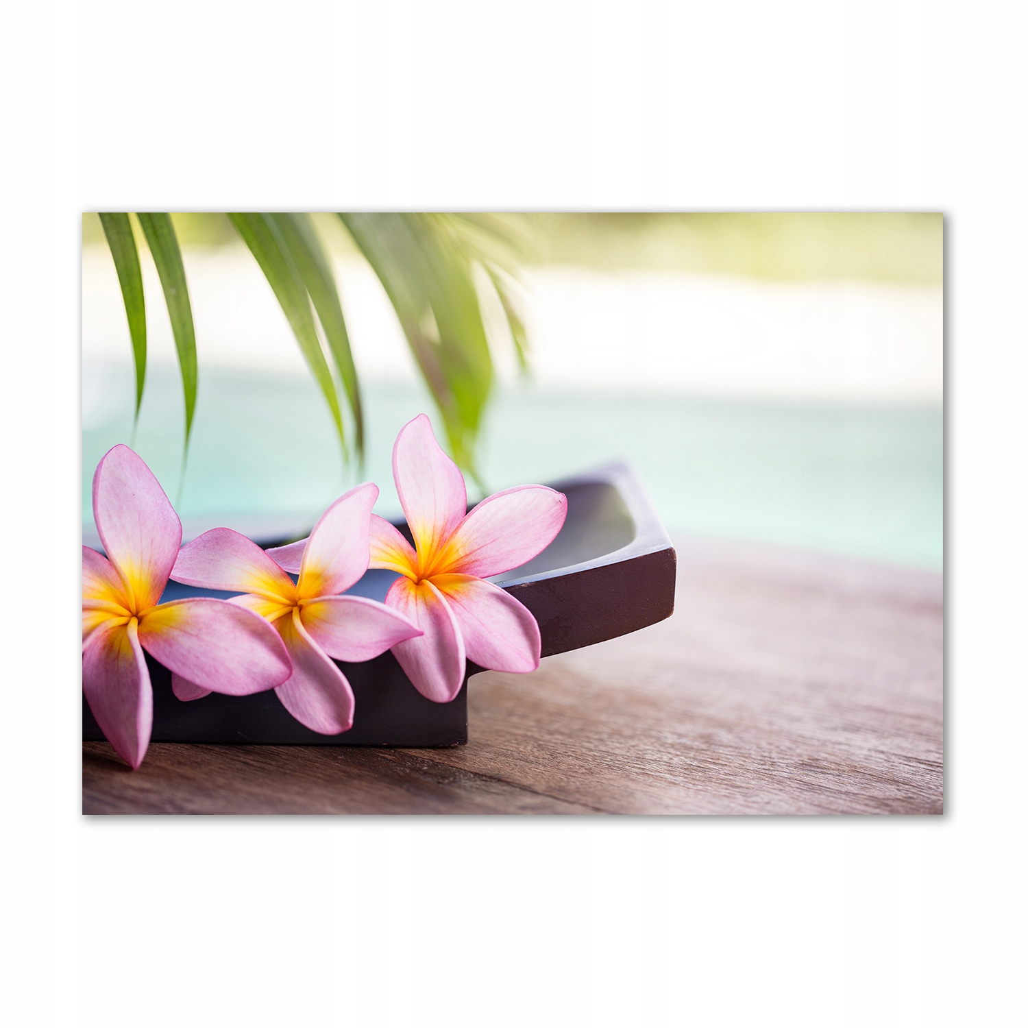 

Obraz zdjęcie na ścianę akryl Plumeria 100x70 cm