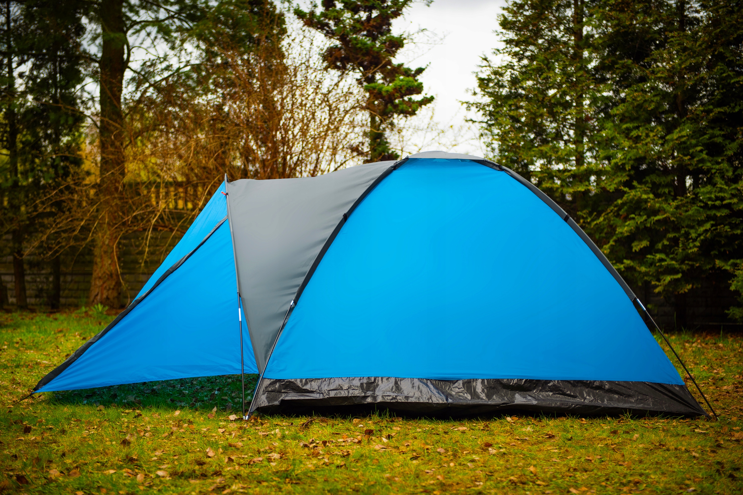 NAMIOT TURYSTYCZNY KEMPINGOWY DUŻY 6-OSOBOWY IGLO 240x290cm Model SDH099