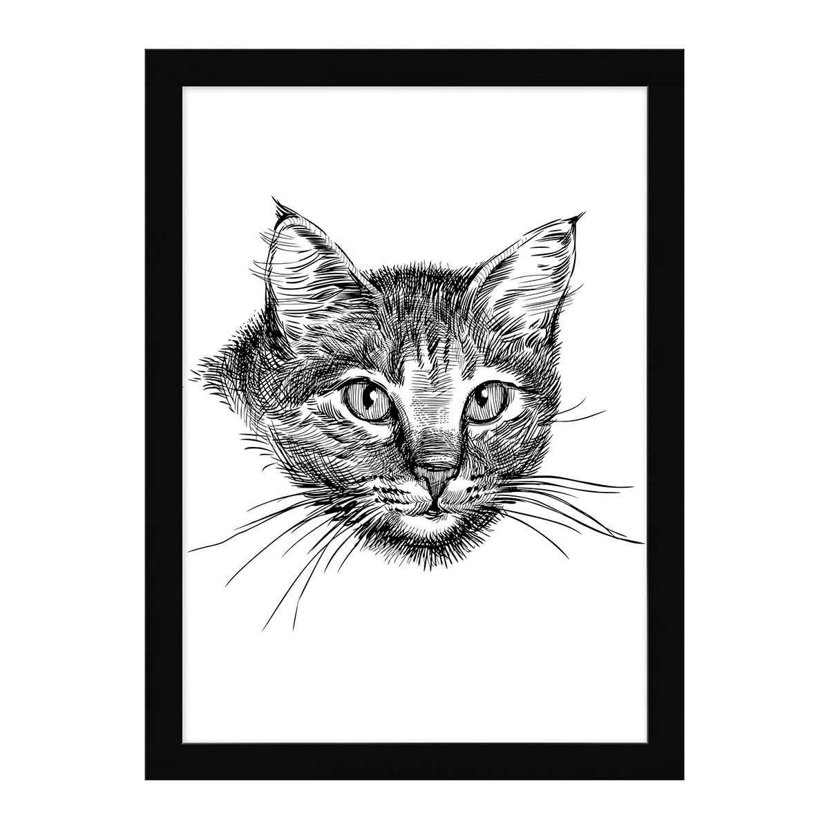 

Obraz Obrazek W Ramce Kot Cat czarny 21x29cm Homla