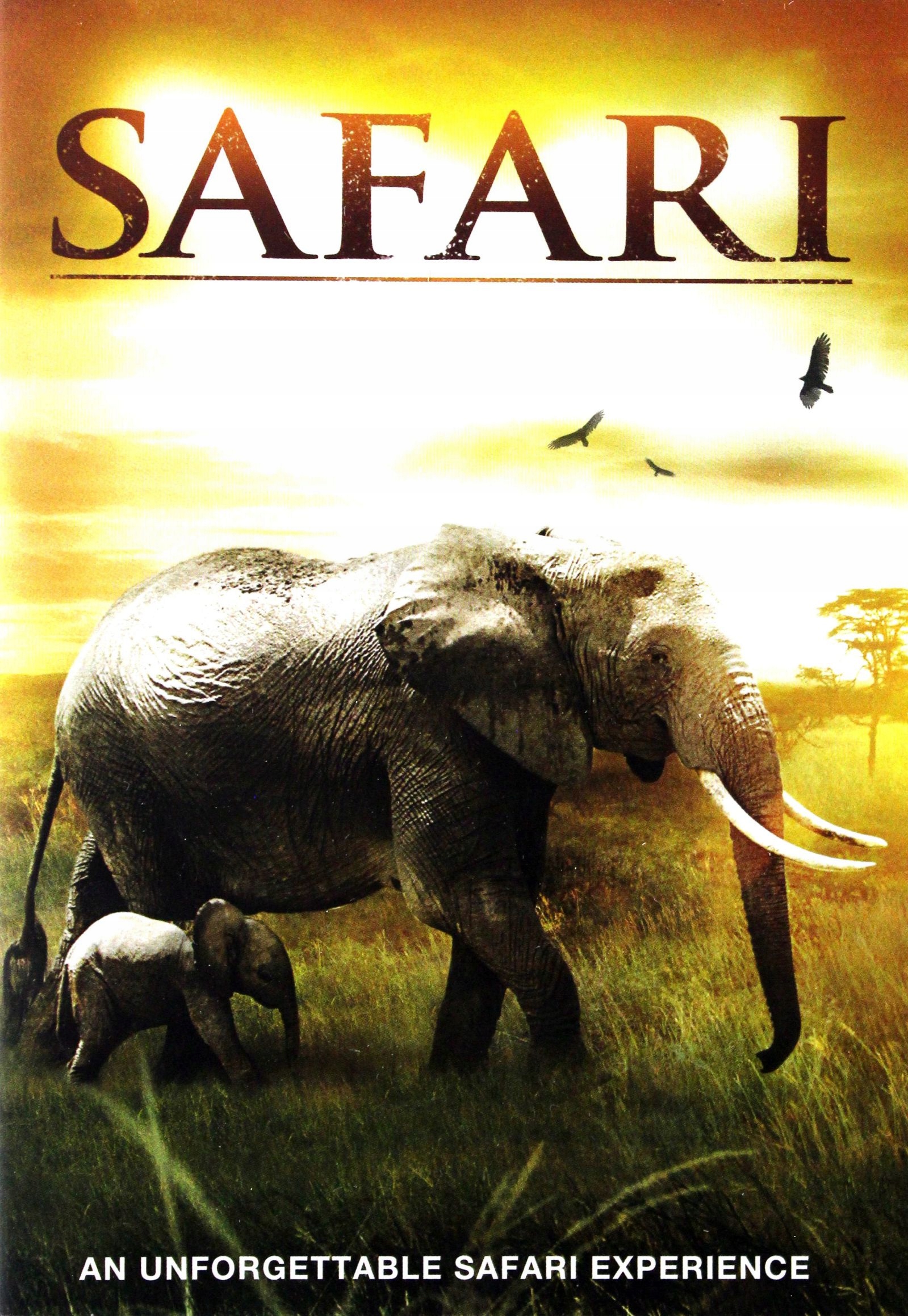 Safari (DVD)
