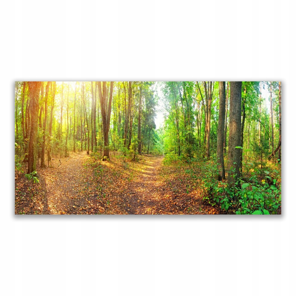 

Obraz akrylowy na ścianę 120x60 Las Natura Drzewa