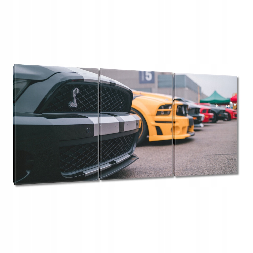 

Obrazy 120x60 Ford Mustang Samochód