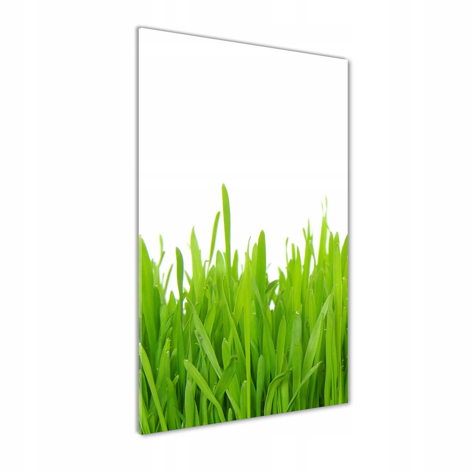

Foto obraz szkło hartowane Zielona trawa 60x120 cm