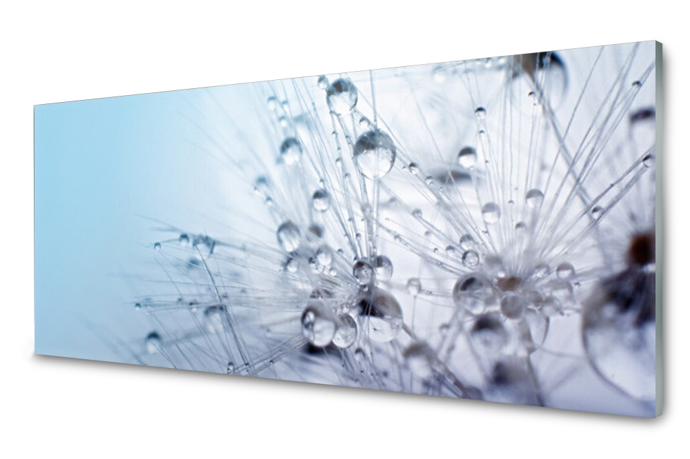 

Panel szklany do kuchni Mniszek 125x50