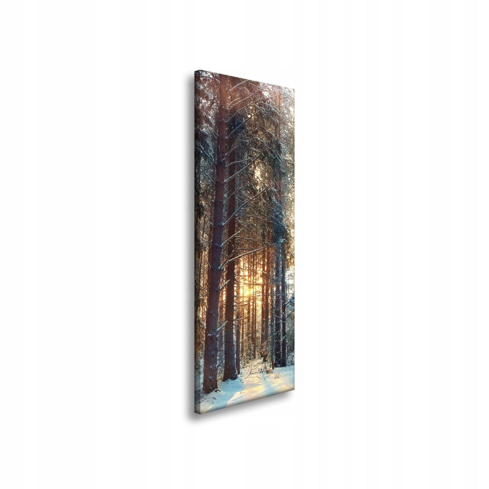 Obraz na plátně Les Zima Sníh Bílá Příroda 40x120 cm