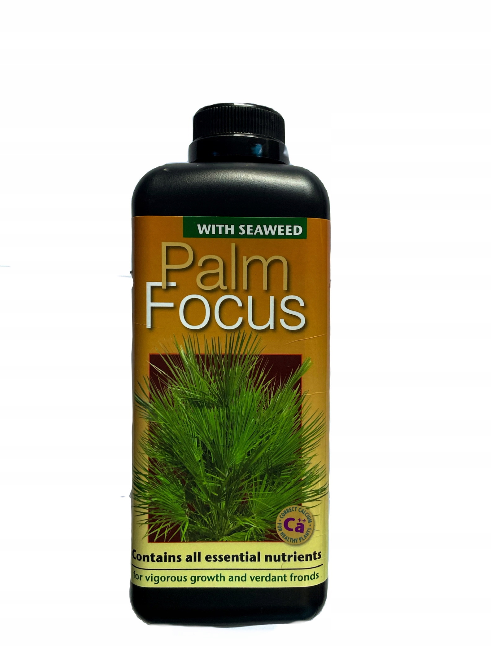 

Palm Focus 1L nawóz do palm Growth Technology