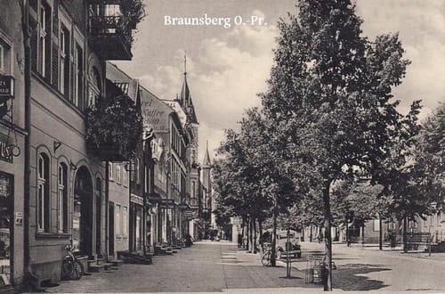 

Braniewo Braunsberg Reprodukcja 16968