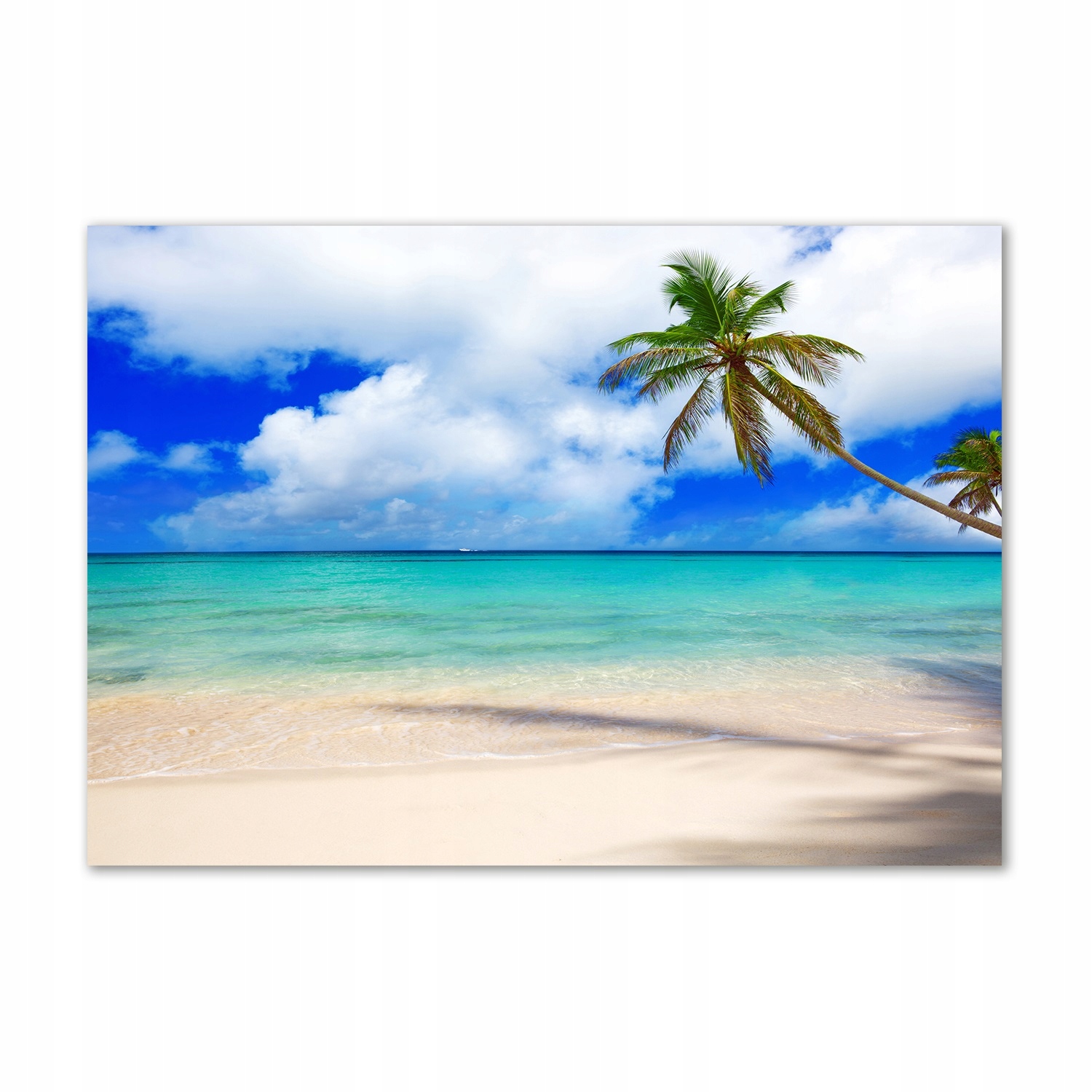 

Foto obraz szkło akrylowy Karaiby plaża 100x70 cm