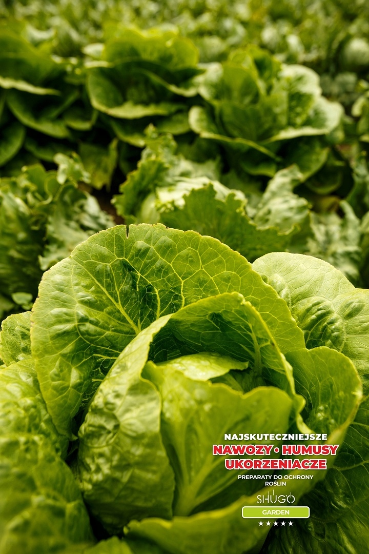 Yara Mila POWER NPK 20-7-10 3 kg SHUGO Waga produktu z opakowaniem jednostkowym 3 kg