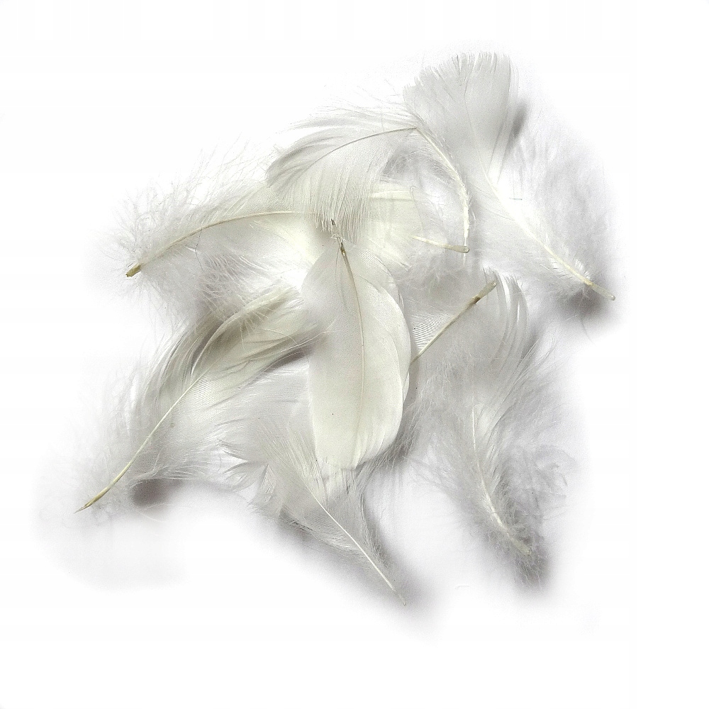 Pióra Gęsie 4-8cm 50g=1000szt Biały 9673