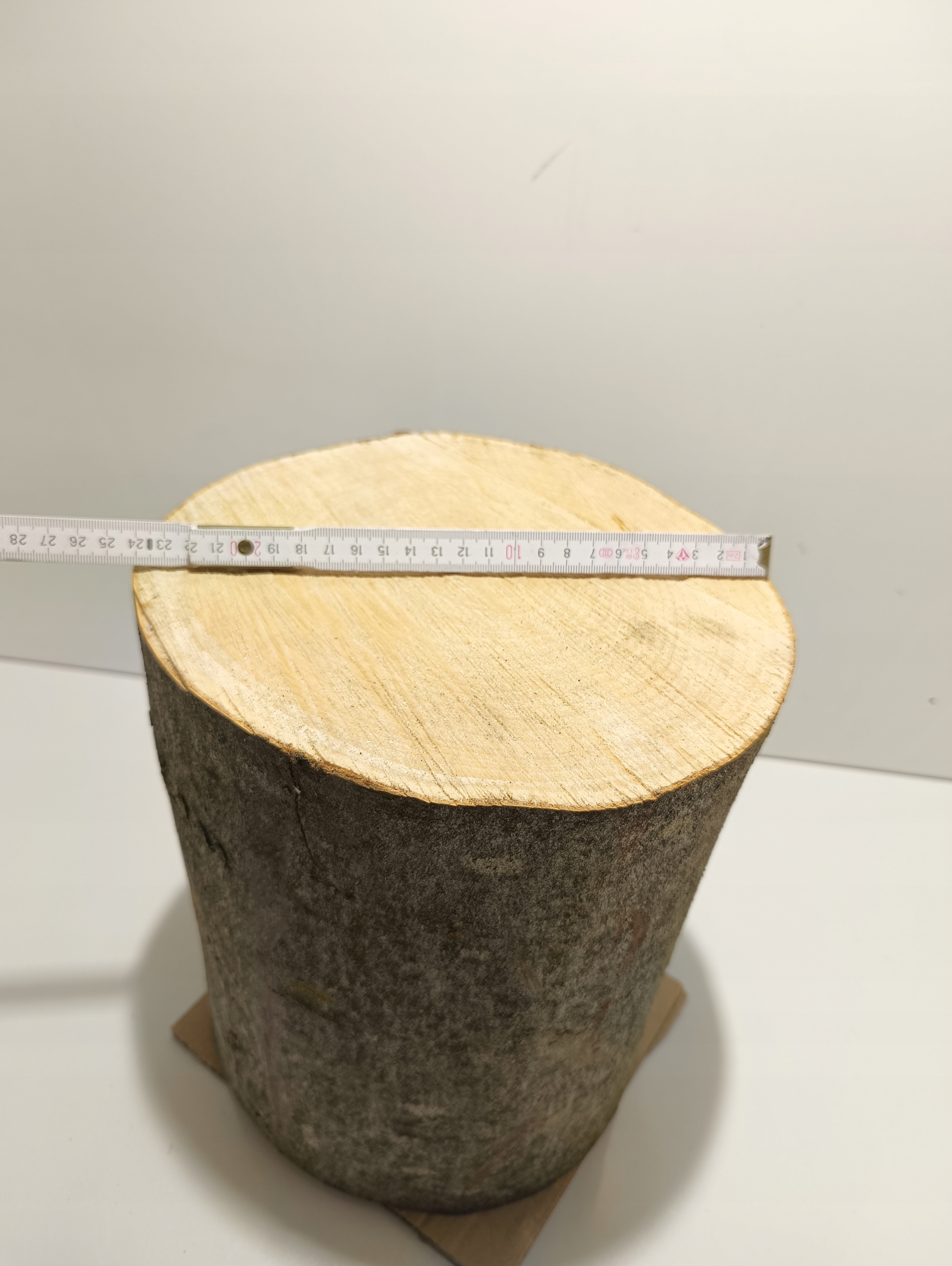 PNIAK KOLN JAWOR PIEŃ KLOCEK JAWOROWY BARDZO TWARDY ZDROWY ROZ. M 20-27cm Typ produktu drewno