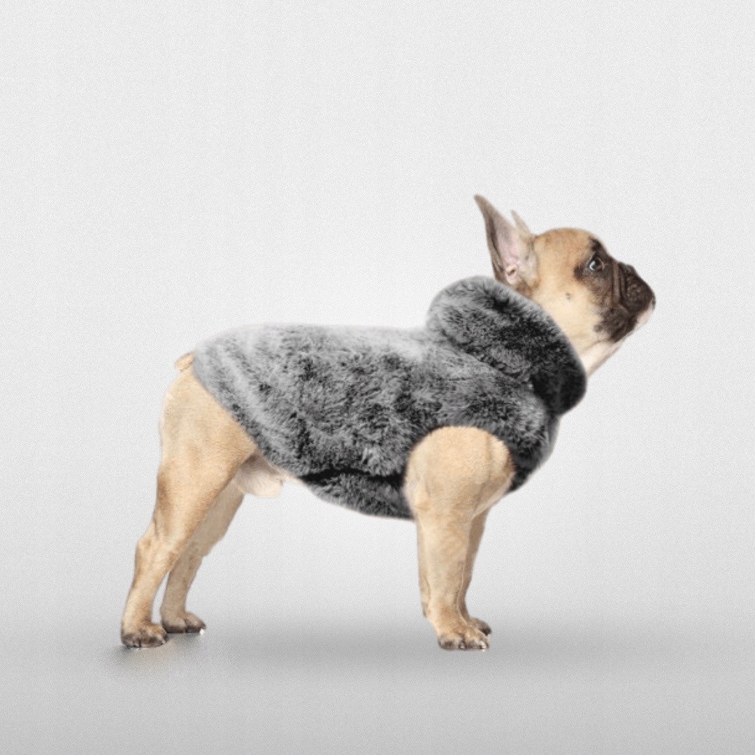 Mikina Pro Psa S Kožešinou Šedá Milk&pepper Achille T32