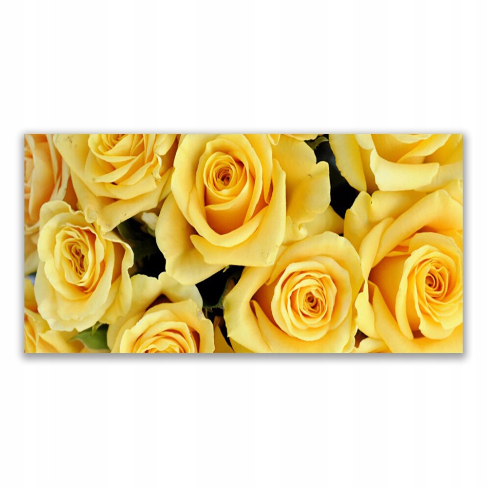 

Obraz akryl nowoczesny 140x70 Róże Kwiaty Roślina