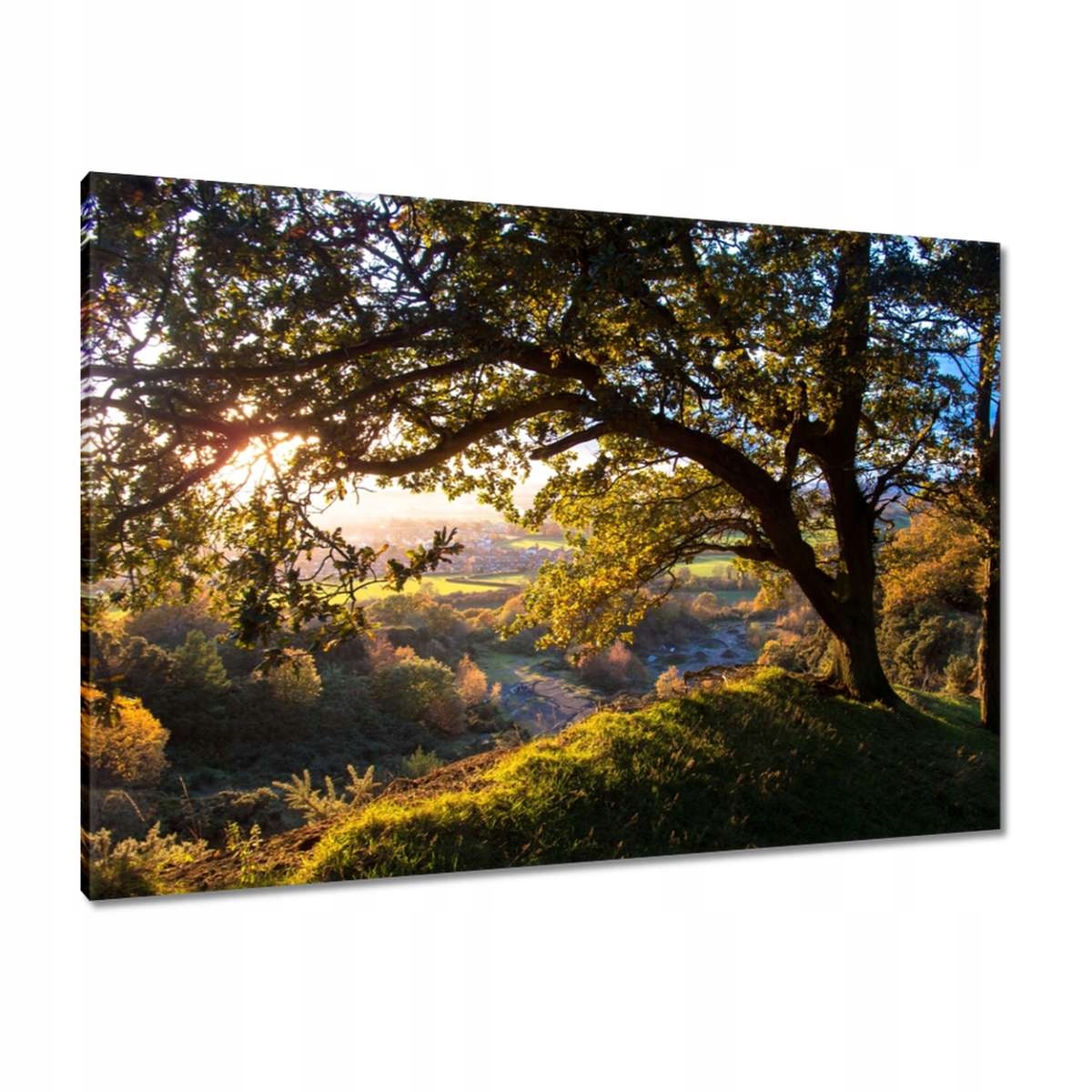 Obrazy 100x70 Pohled do údolí