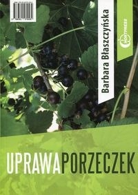 Uprawa porzeczek