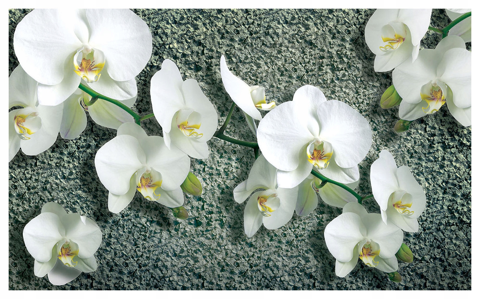 Vliesová fototapeta Biele orchidey do spálne jemnosť 416x254 lepidlo