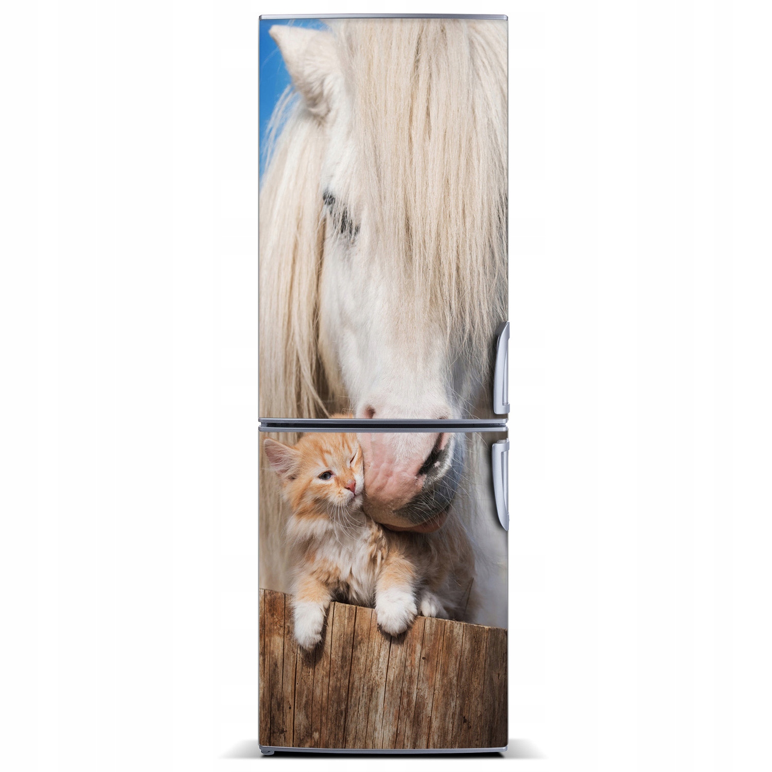 

Mata magnetyczna na lodówkę Biały koń z kotem XL