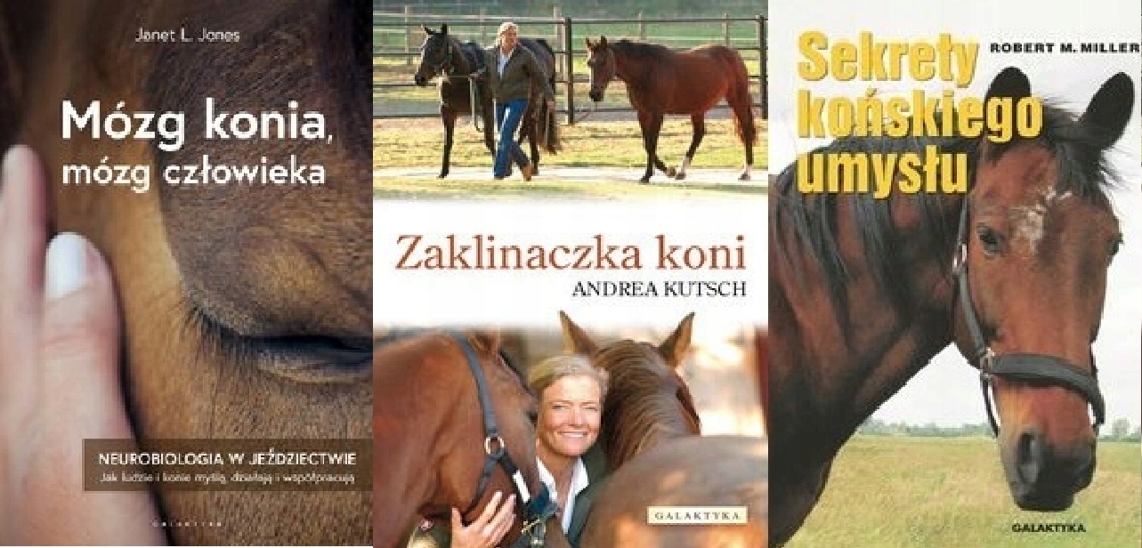 Mózg konia Zaklinaczka koni Sekrety końskiego