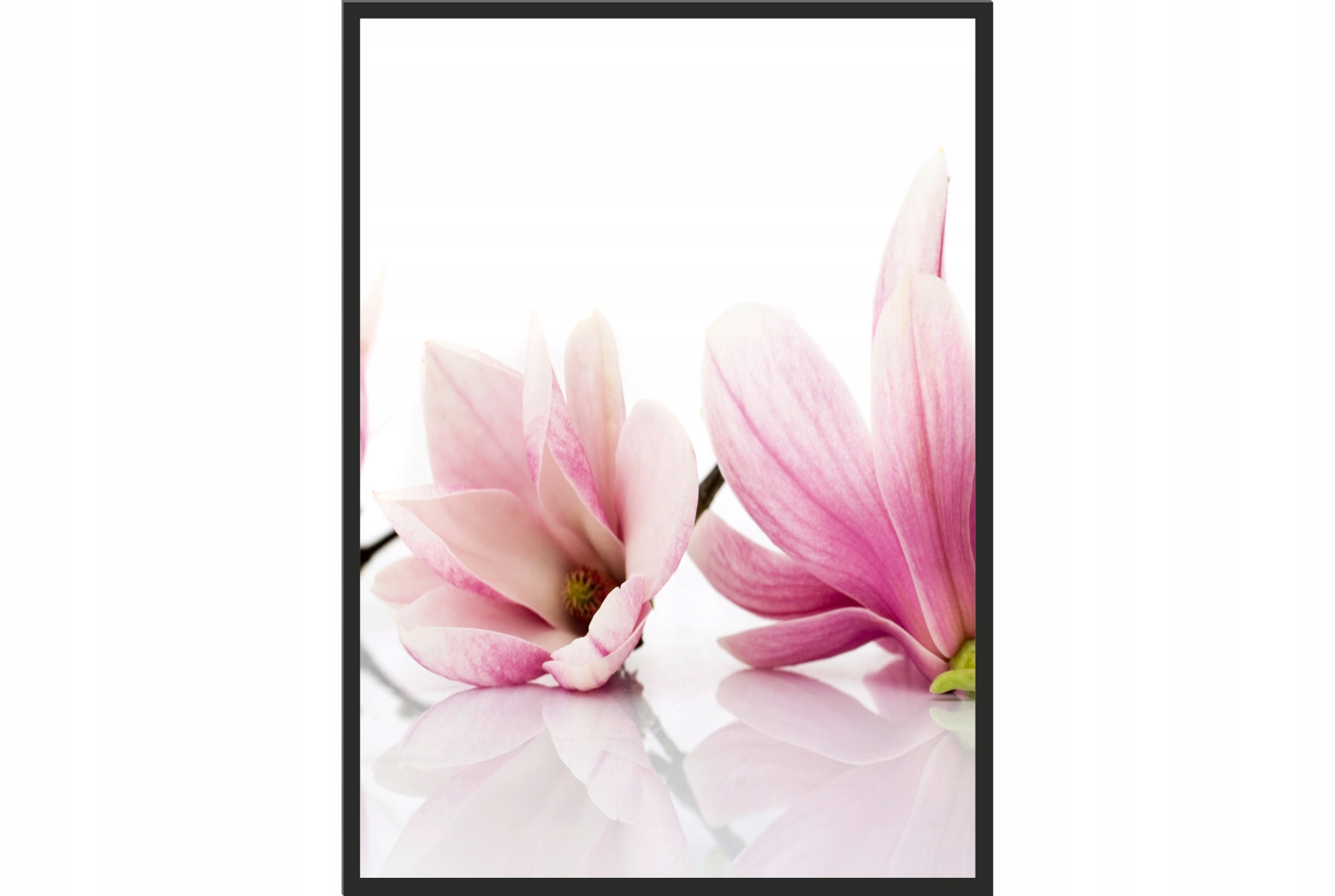 

Obraz plakat 40x30 magnolia róż kwiaty do kuchni