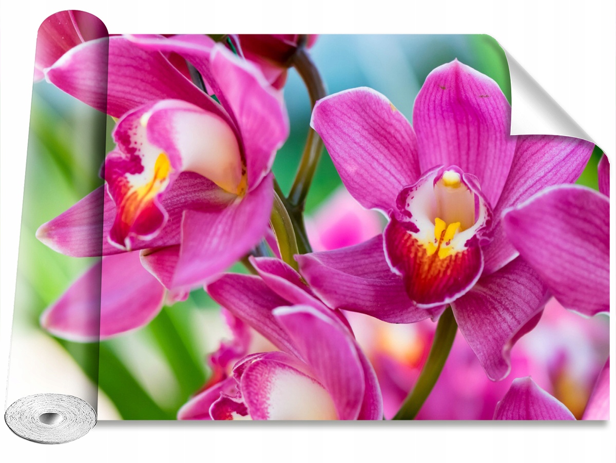 

Tapeta Samoprzylepna Różowe orchidee - 416x254
