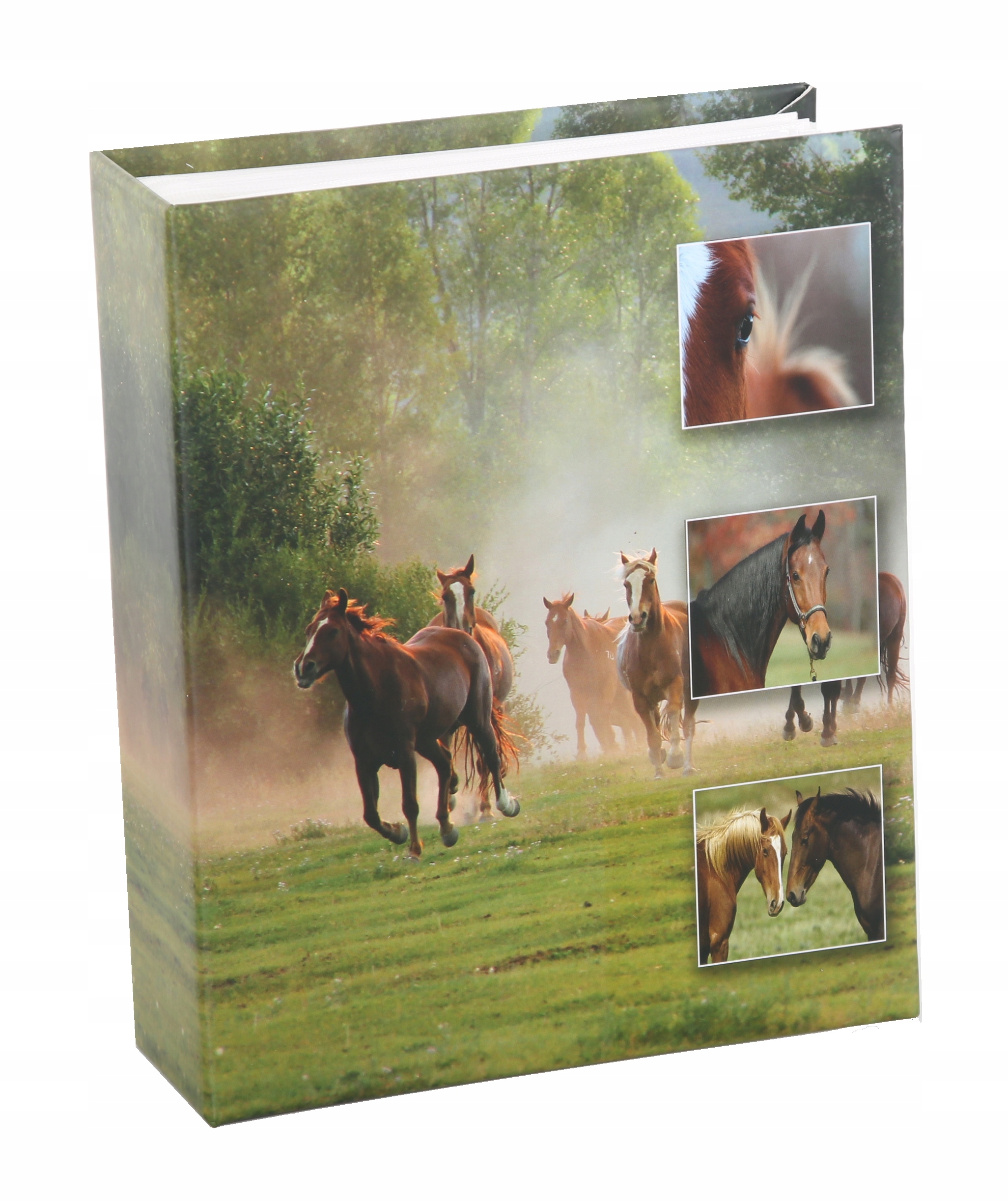 

Album fotograficzny 300 zdjęć 10x15 konie