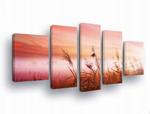 Obraz 170x100 Západ slnka lúka trávy príroda pokoj teplo leto