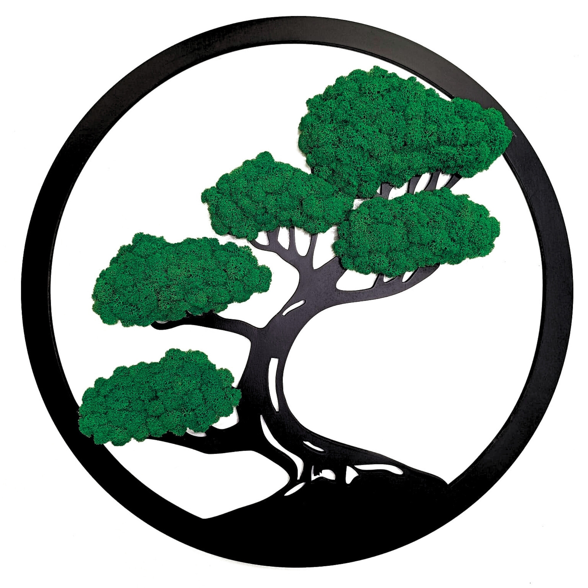 Obraz Severský Lišajník Strom Bonsai Obraz Z Machu Stromček Na Darček 50 cm