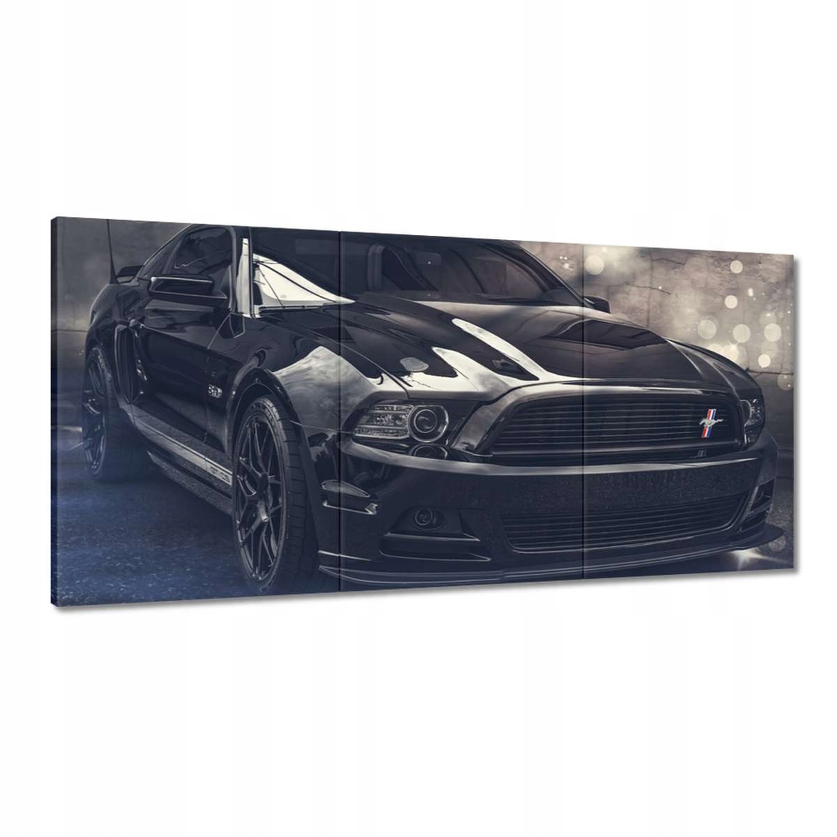 Obrazy 180x90 Mustang Gt California