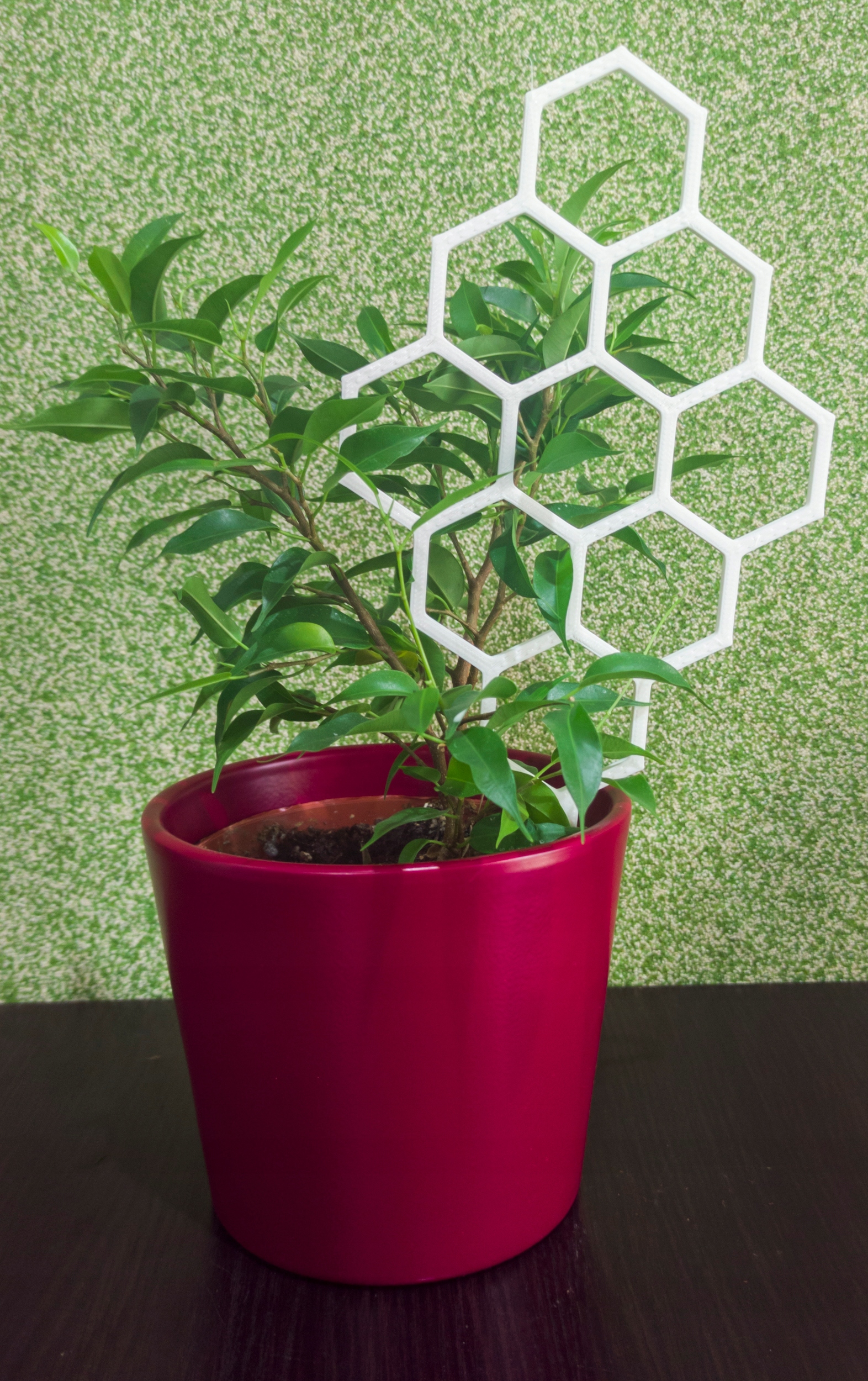 PODPÓRKA KWIATÓW ROŚLIN PERGOLA MIÓD 26cm biała Rodzaj drabinka