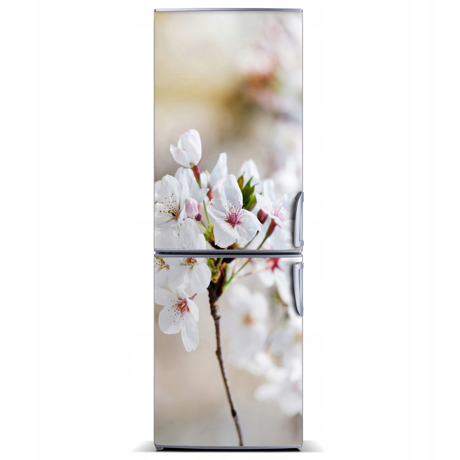 

Naklejka magnetyczna lodówkę Kwiaty wiśni 60x180