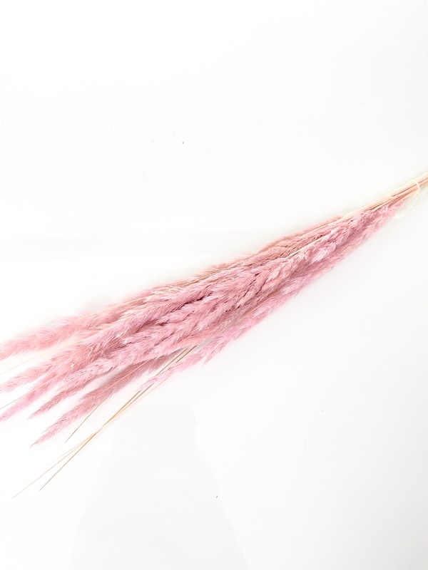 

Mini trawka wrzosowa suszone kwiaty Miła Odmiana