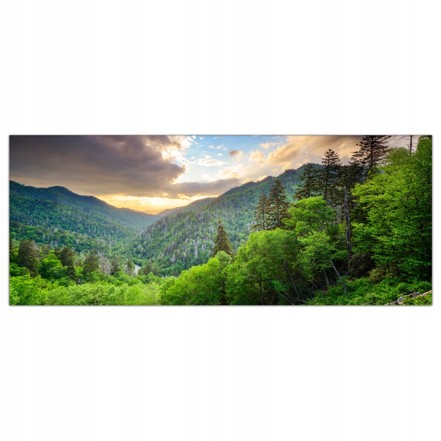 

Obraz Szklany Foto-obraz Góry Mgła Natura 125x50