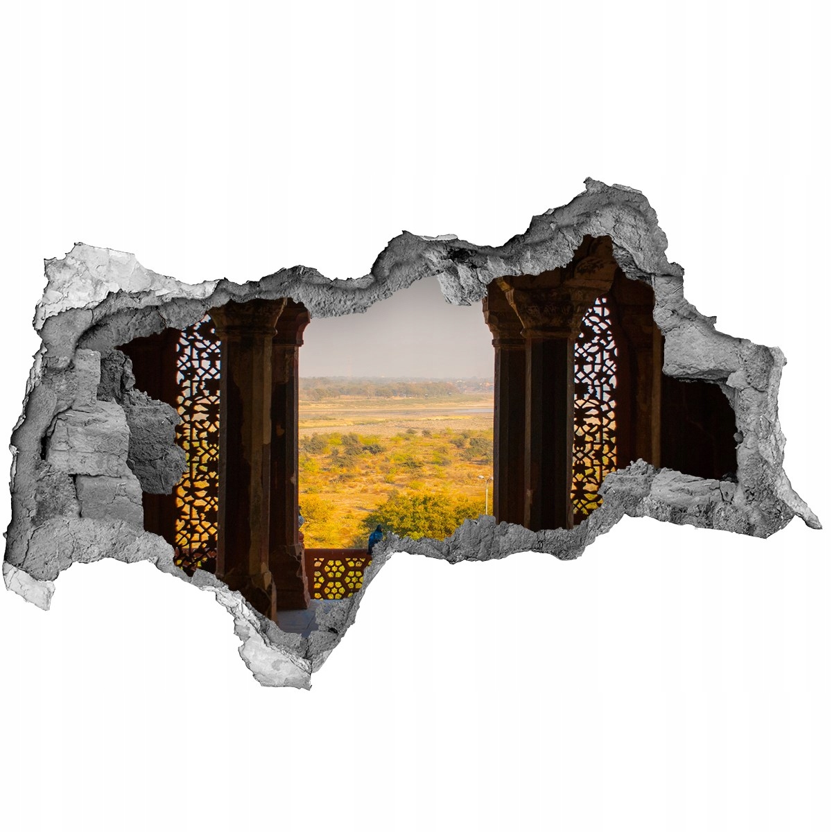 

Fototapeta dziura na ścianę Fort Agra Indie 95x73