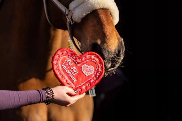 Ciasteczko Duży Torcik Końska Cukierenka Naturalne smaczki tort 1sztuka