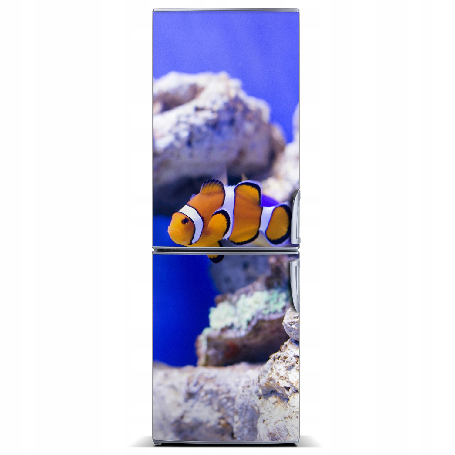 

Naklejka Magnes na lodówkę Ryba Nemo 60x180