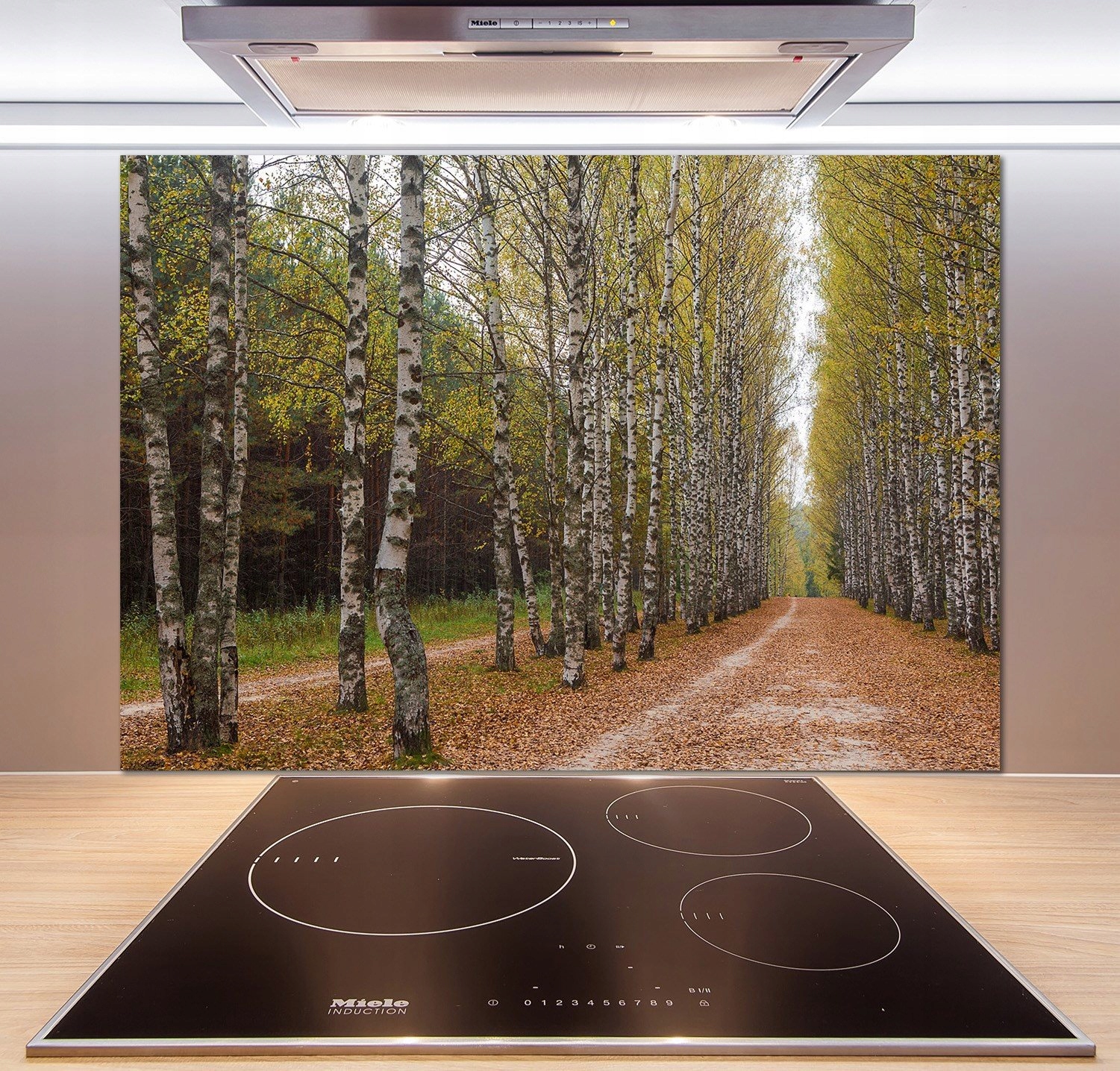 

Panel dekor szkło Aleja brzóz 100x70 cm + Klej